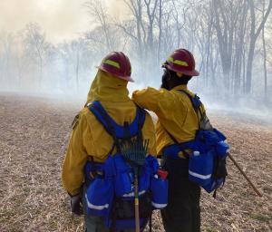 Advanced Fire Management - Wildland Firefighting 1