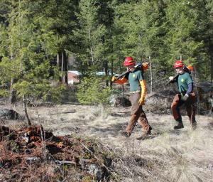 Advanced Forestry Technician