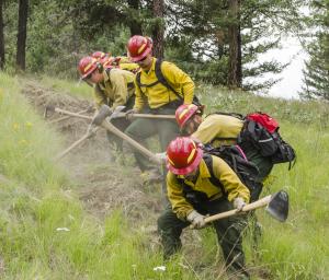 Forestry Conservation and Firefighting