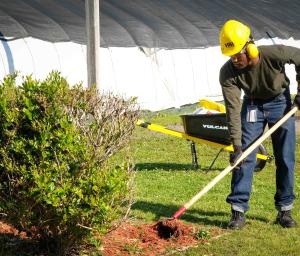 Landscaping