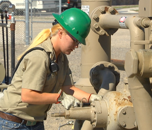 Petroleum Service Technician