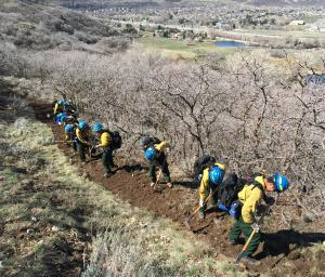 Urban Forestry